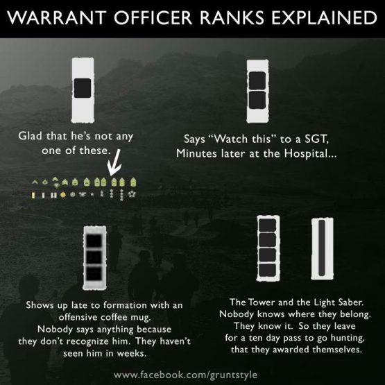 What Is A Net Tech The Signal Chief